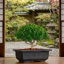 Gemini_Generated_Image_udj7enudj7enudj7.webp
