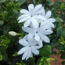 shopping (14).webp