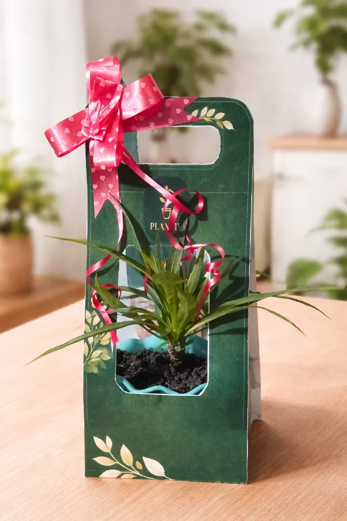 GreenDesk– Eco Corporate Gift