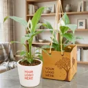 Peace Lily in Ceramic Pot - Corporate Gift (set of 30)