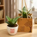 Sansevieria Plant in Ceramic Pot - Corporate Gift (set of 30)